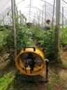 Wentylator Master DFB 16